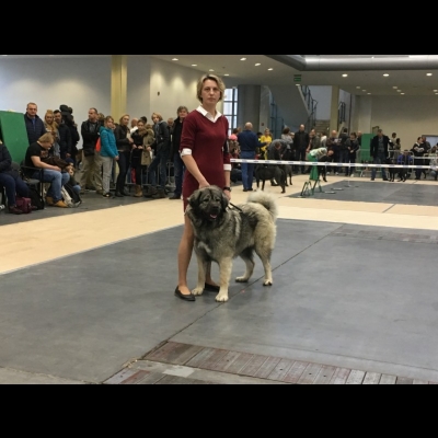 IDS POZNAŃ'18 - VALKYRIA