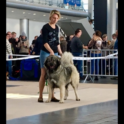 IDS POZNAŃ'18 - VALKYRIA