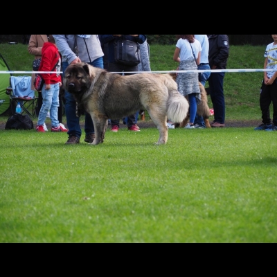IDS WROCŁAW'2019 - MIMIR
