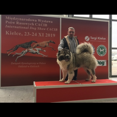 IDS KIELCE'19 - BAGIRA