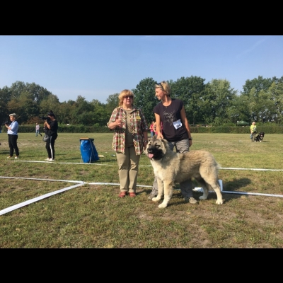 KWM WARSZAWA'18 - BALDUR - ZWYCIĘZCA MŁODZIEŻY, MŁODZIEŻOWY ZWYCIĘZCA KLUBU'18