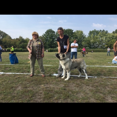 KWM WARSZAWA'18 - BAGIRA
