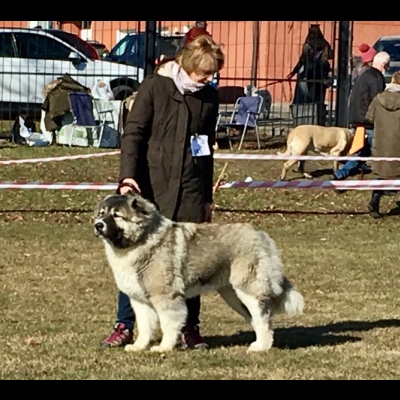 NDS CHOCEŃ'19 - BAGIRA
