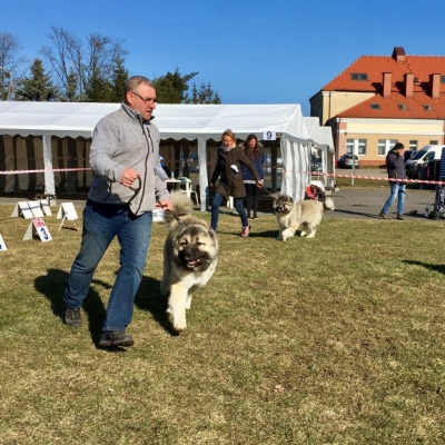 NDS CHOCEŃ'19 - BALDUR i BAGIRA