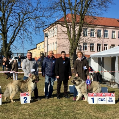 NDS CHOCEŃ'19 - BALDUR i BAGIRA