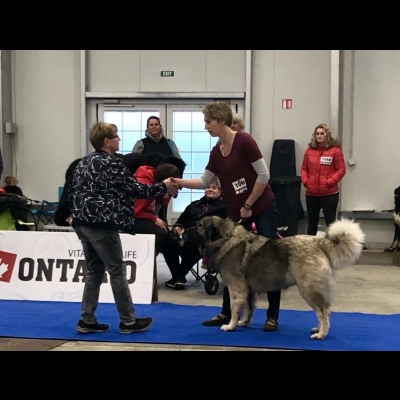 IDS PRAGA'18 - VALKYRIA
