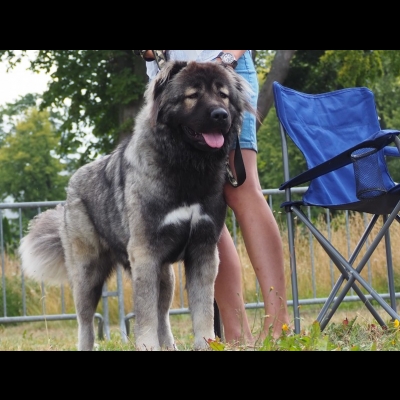 NDS CHOJNICE'19 - MARA