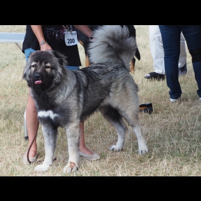 NDS CHOJNICE'19 - MARA