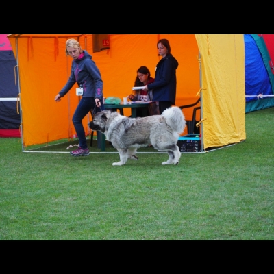 NDS INOWROCŁAW'19 - BAGIRA